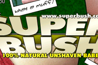 Screenshot of Super Bush